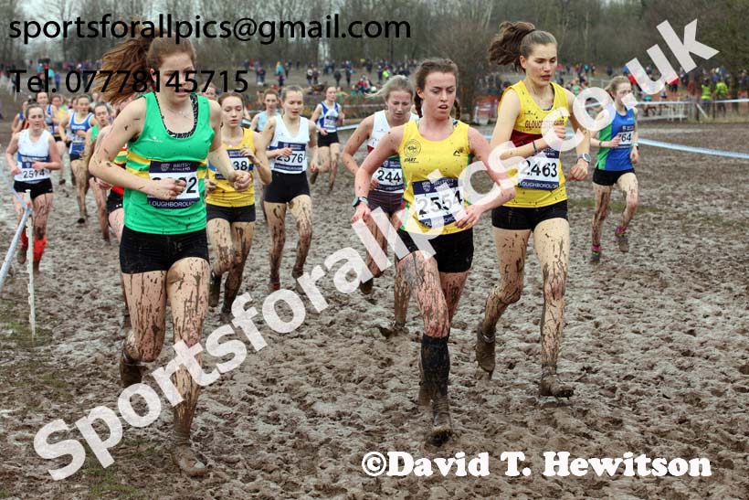 Womens under-20s 2018 British Inter Counties Cross Country Champs., Prestwold Hall, Loughborough. Photo: David T. Hewitson/Sports for All Pics